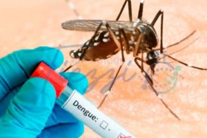 Dengue Igg/Igm + Hemograma Completo